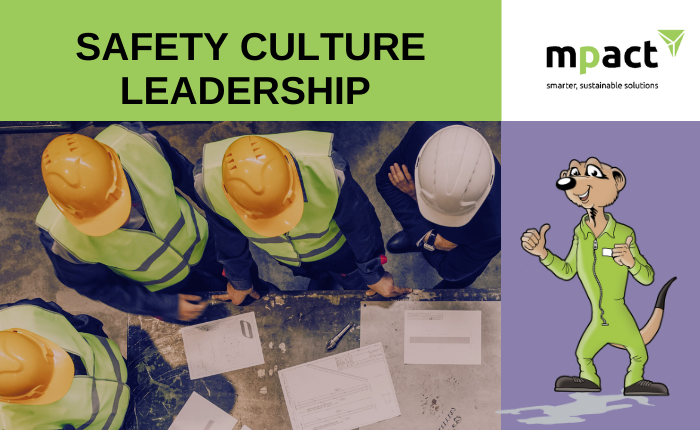 Safety Culture Leadership