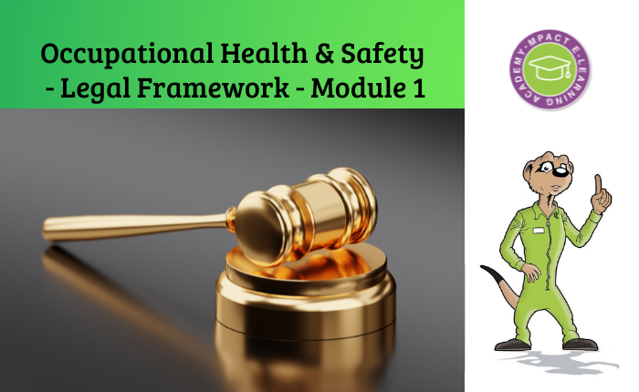 Occupational Health and Safety Legal Framework. Module 1