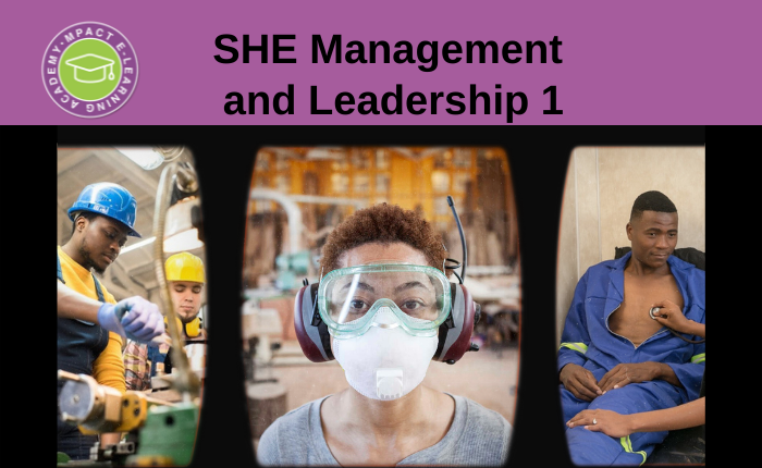 SHE Management and Leadership 1